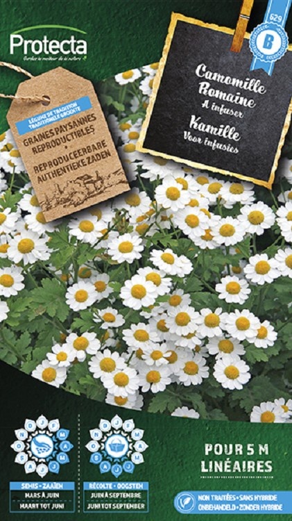 Camomille Romaine ( Protecta B )