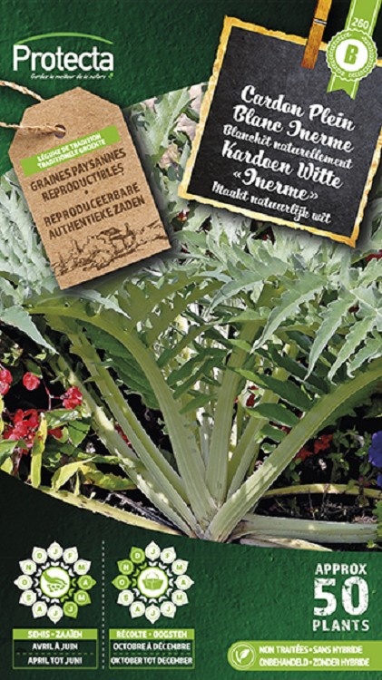 Cardon Plein Blanc Inerme ( Protecta B )