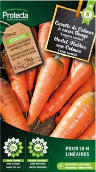 Carotte de Colmar à coeur Rouge ( Protecta B )