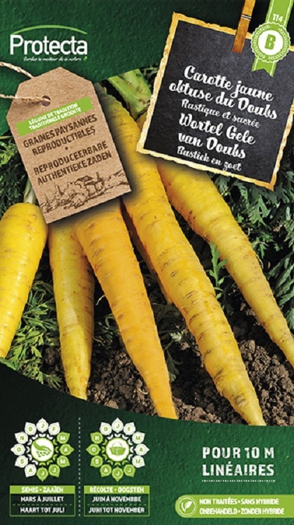 Carotte jaune obtuse du doubs ( Protecta B )