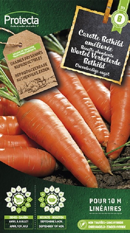Carotte Rothild améliorée ( Protecta B )