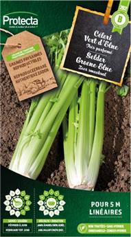 Céleri Branche d´Elne ( Protecta B )