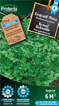 Cerfeuil frisé XXL ( Protecta B )