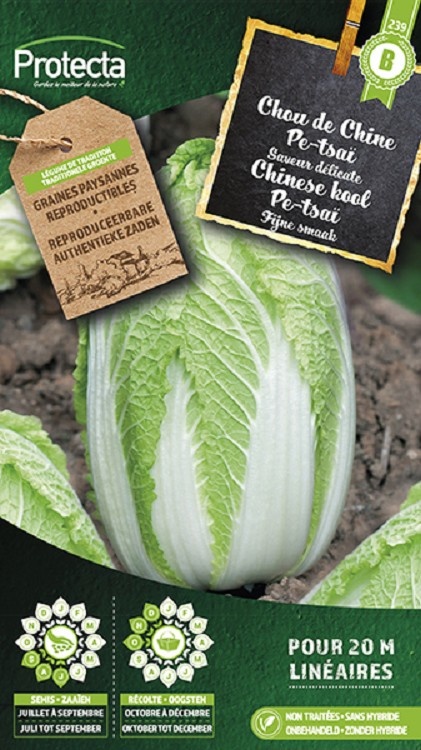 Chou de Chine Pe-tsaï ( Protecta B )