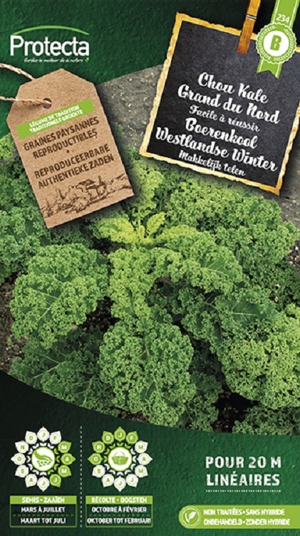 Chou Kale frisé Westlandse Winter ( Protecta B )