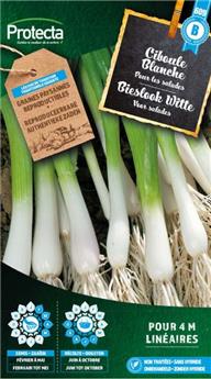 Ciboule Blanche ( Protecta B )