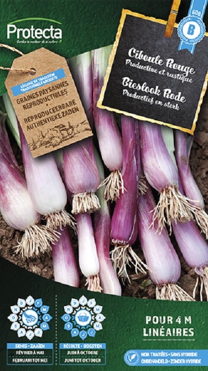 Ciboule Rouge ( Protecta B )