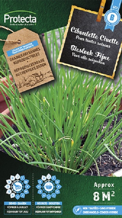 Ciboulette ( Protecta B )