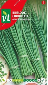 Ciboulette ( Protecta B )