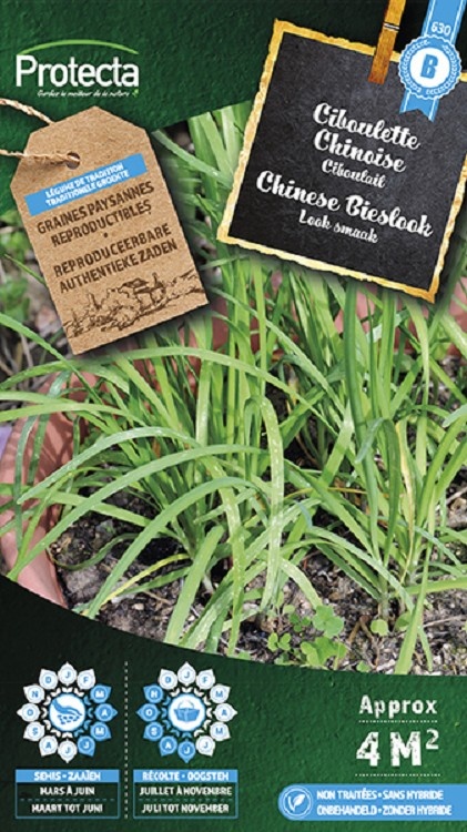 Ciboulette chinoise Ciboulail ( Protecta B )
