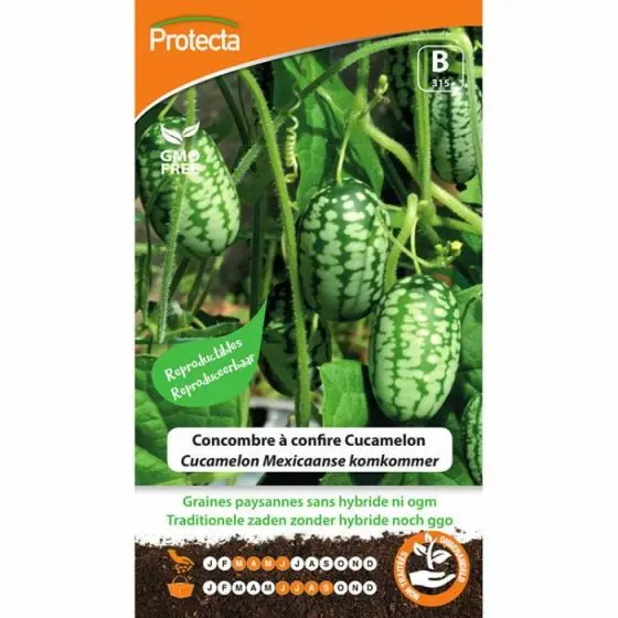 Concombre à confire Cucamelon ( Protecta B )
