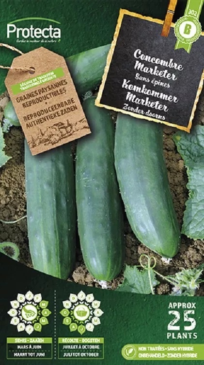Concombre Marketer ( Protecta B )