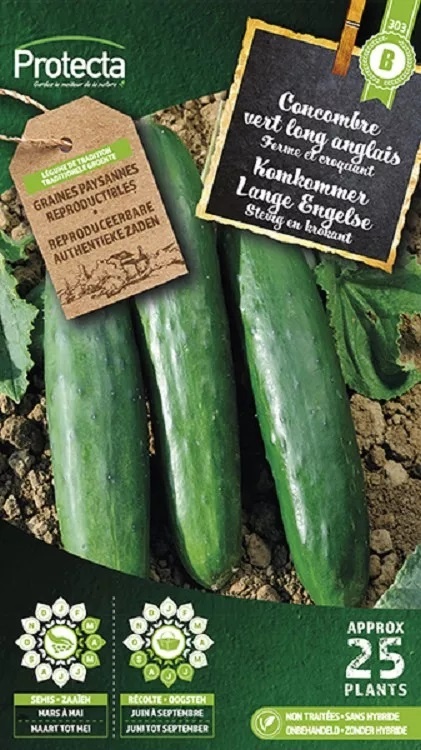 Concombre vert long anglais ( Protecta B )