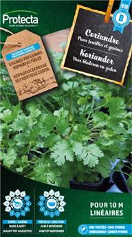 Coriandre cultivée ( Protecta B )