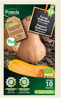 Courge musquée Butternut FR-BIO-15 ( Protecta B )