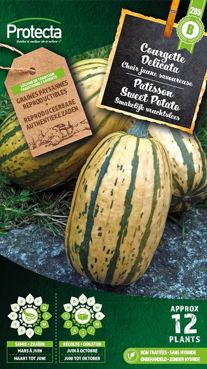 Courgette Delicata ( Protecta B )