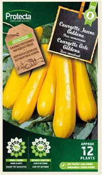 Courgette Jaune Goldena ( Protecta B )