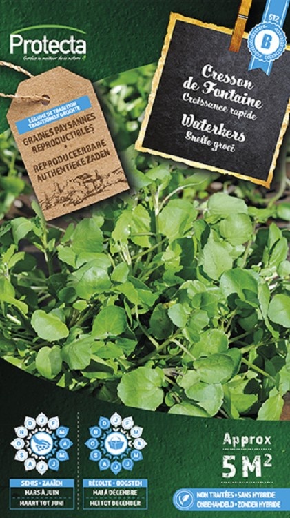 Cresson de Fontaine ( Protecta B )