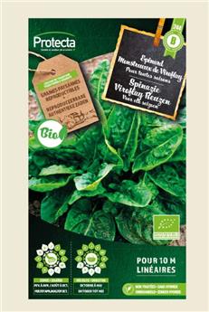 Epinard monstrueux de Viroflay FR-BIO-15 ( Protecta B )