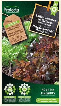 Laitue à couper en mélange ( Protecta B )
