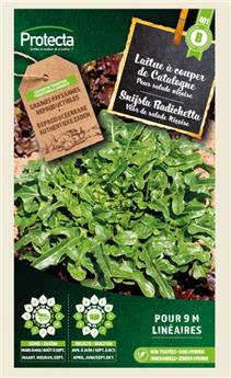Laitue à couper Radichetta (Type Catalogne verte) ( Protecta B )