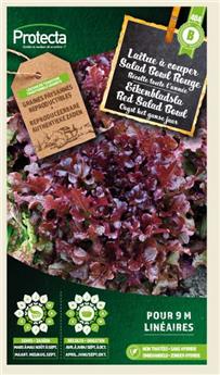 Laitue à couper Red Salad Bowl  ( Protecta B )