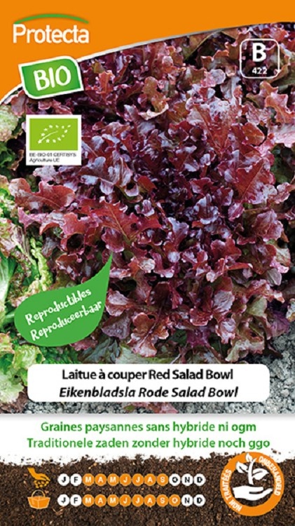 Laitue à couper Red Salad Bowl FR-BIO-15 ( Protecta B )