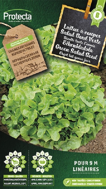 Laitue à couper Salad Bowl Verte  ( Protecta B )