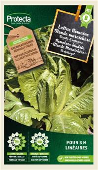 Laitue Romaine blonde maraichère ( Protecta B )