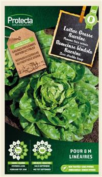 Laitue Romaine Sucrine ( Protecta B )
