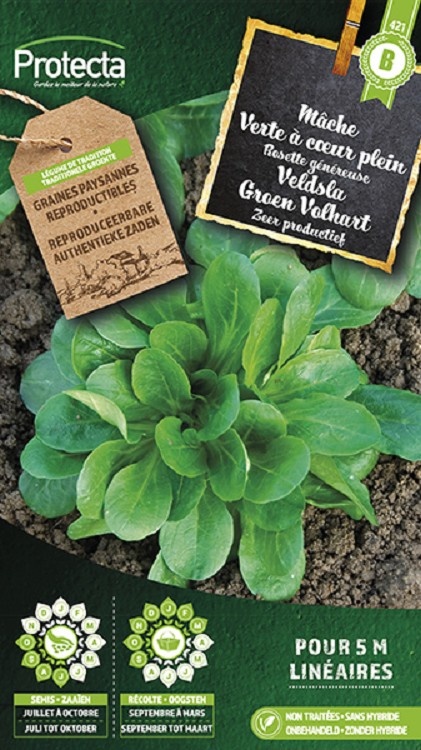 Mâche Verte à coeur plein 3 ( Protecta B )