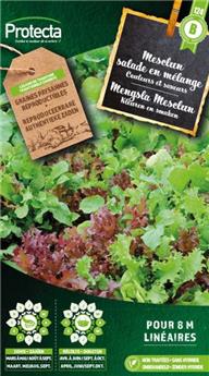 Mesclun salade en mélange ( Protecta B )