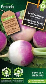 Navet de Nancy à feuille entière ( Protecta B )