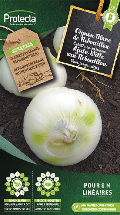 Oignon Blanc de Rebouillon ( Protecta B )