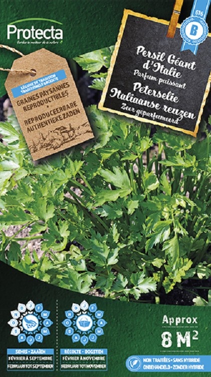 Persil Géant d´Italie ( Protecta B )