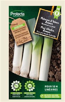 Poireau d´hiver Armor ( Protecta B )