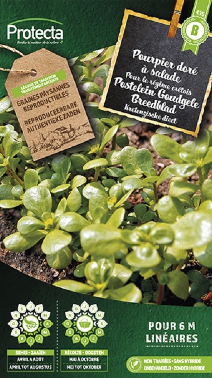 Pourpier doré à salade ( Protecta B )