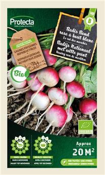 Radis rond rose à bout blanc FR-BIO-15 ( Protecta B )