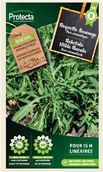 Roquette Sauvage  ( Protecta B )