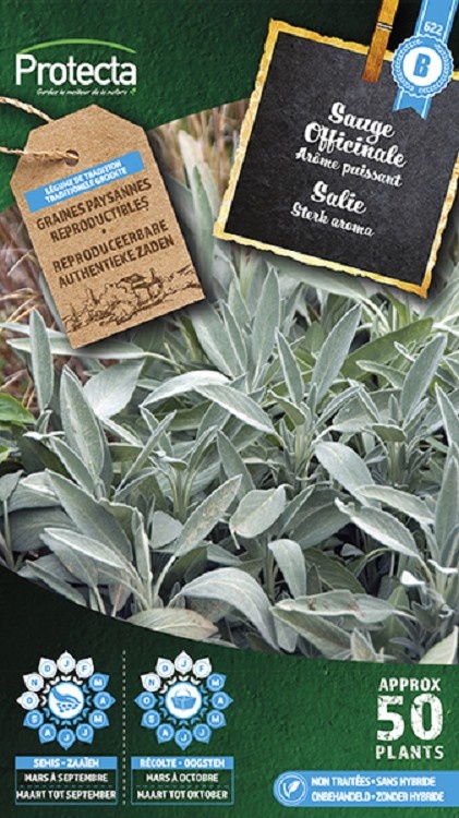 Sauge officinale FR-BIO-15 ( Protecta B )