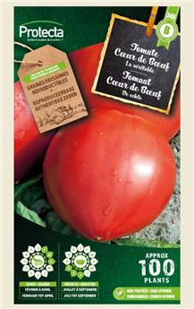Tomate cœur de Bœuf ( Protecta B )