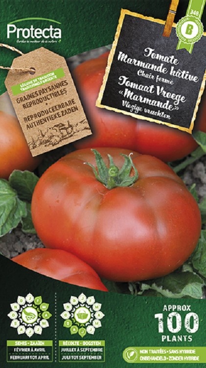 Tomate Marmande hâtive ( Protecta B )