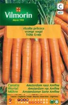 Carotte D´Amsterdam Amfine (Vilm)