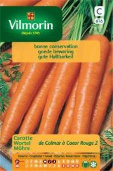 Carotte De Colmar À Coeur Rouge 2 (Vilm)