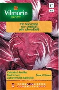 Chicorée À Feuilles Rouge De Verone (Vilm)