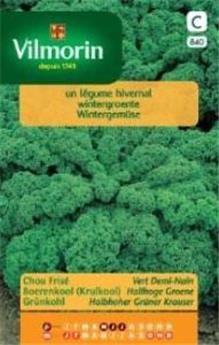Chou Frisé Vert Demi-Nain (Vilm)