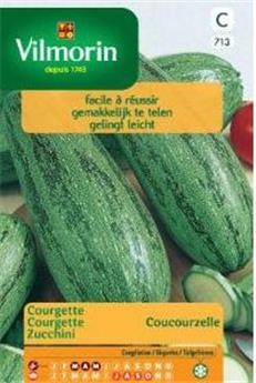 Courgette Coucourzelle  (Vilm)
