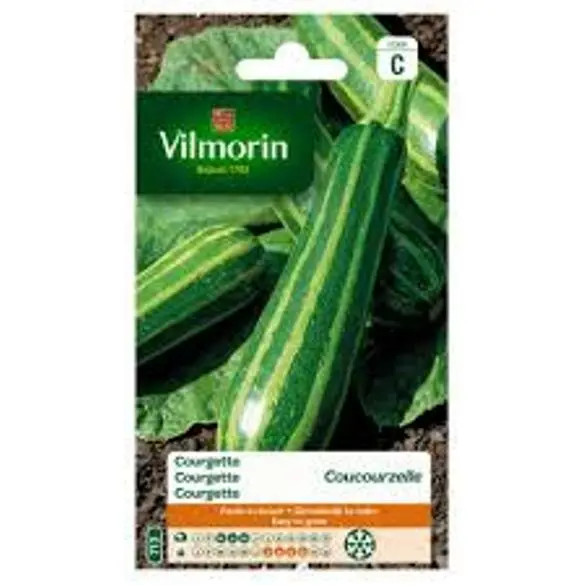 Courgette Coucourzelle  (Vilm)