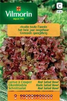 Laitue À Couper Red Salad Bowl (Vilm)