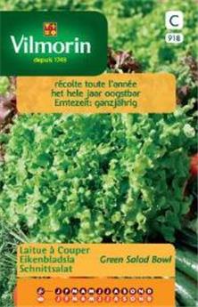 Laitue À Couper Salad Bowl Verte (Vilm)